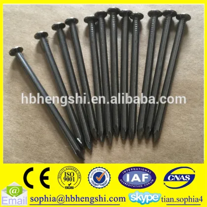 black steel nails/iron nails