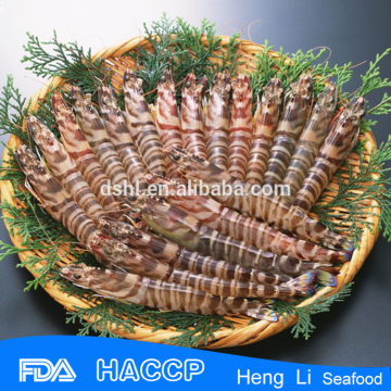 HL002 best quality fresh chilled shrimp