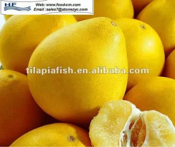 Chinese pomelo, fresh pomelo on sale