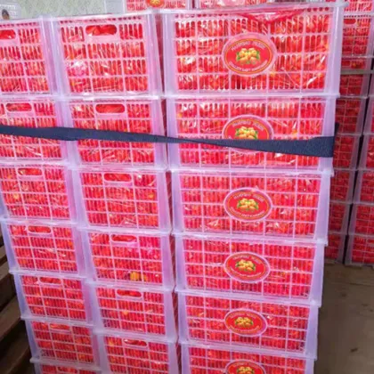 Nanfeng Baby Mandarin Fruits