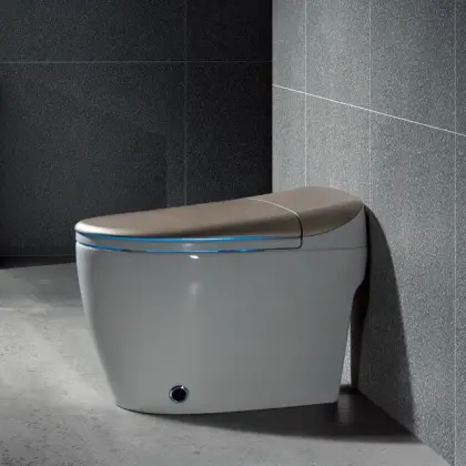 Ceramics Floor-Mounted Smart Toilet with Auto Washing - 2012B