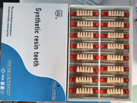 Dental Acrylic Teeth Synthetic Artificial Resin Teeth