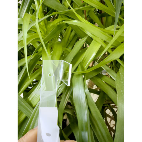 Injection Molding PC Transparent Plastic Parts