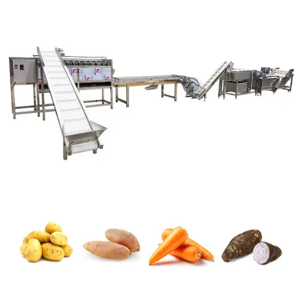 Shandong Zhucheng Vegetable Fruit Washing Drying Line