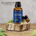 Etiqueta privada orgánica 100% aceite esencial de eucalipto de extracción de vapor natural puro para productos para el cuidado de la salud precio a granel 10 ml