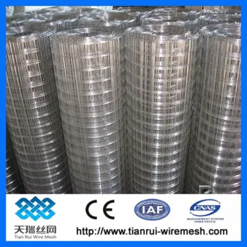 316L stainless steel welded wire mesh