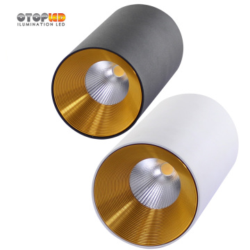 Led Downlight 15W Ceiling and Surface Mounted
