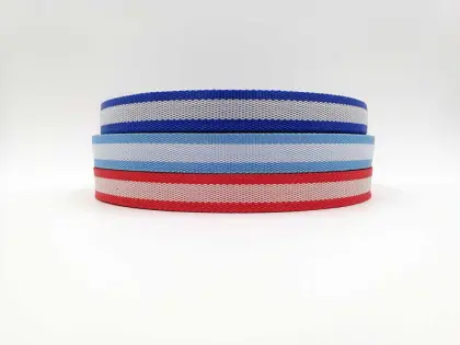 Colored Webbing/Polypropylene Webbing Strap