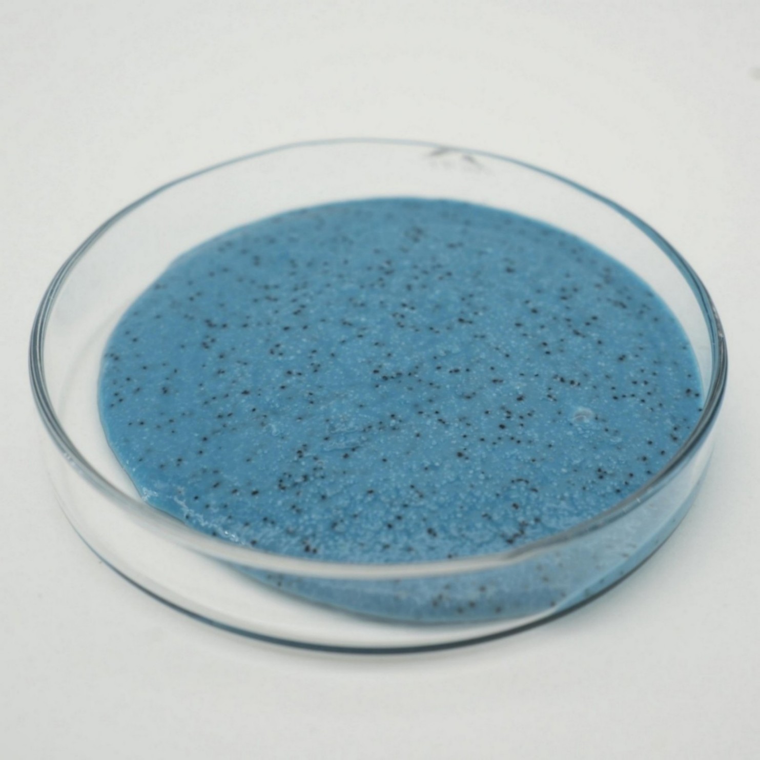 blue floor paint