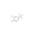 2-bromo-3-cloro-5- (trifluorometil) piridina intermedi