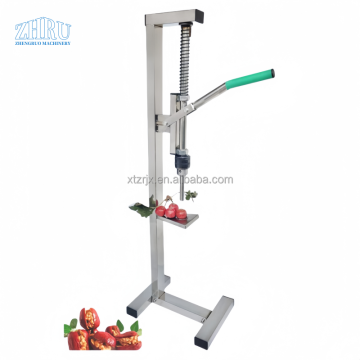 Mesin Pitting Hawthorn Stainless Steel Portable untuk Penggunaan Rumah
