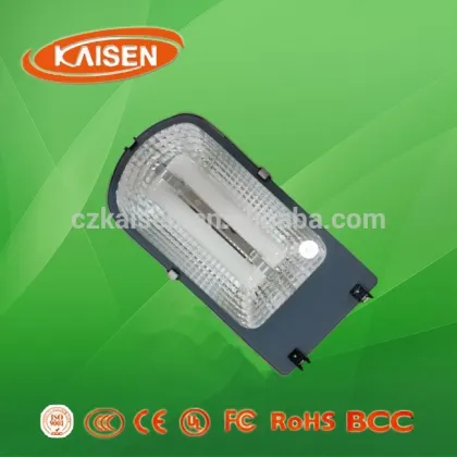 80W high quality LVD high power induction street lamp