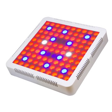 Bestseller Beleuchtung Produkt Vollspektrum LED IR VR Wachsen Licht für den Gartenbau