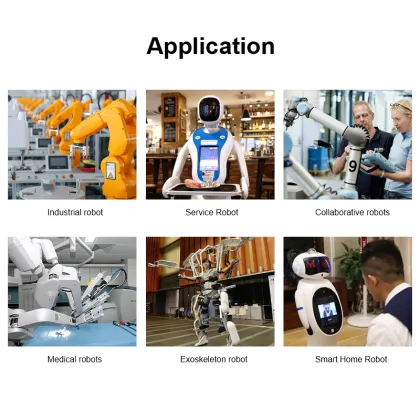 Harmonic Speed Reducer DC Gear Motor for Robotics and Exoskeletons