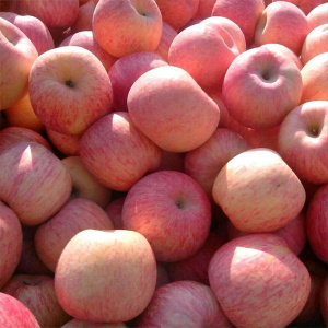 NingXia nouvelles pommes Fuji rouges de qualité supérieure fraîches