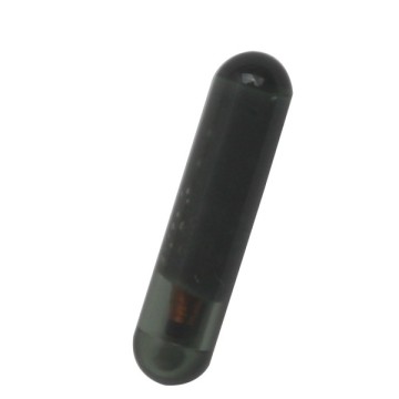 TP22 ID48 Chip for SKODA A4 10pcs/lot