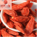 Goji berry / goji berry organik / Goji berry kering