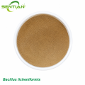 Bacillus licheniformis Soil Conditioner Microbial Agent