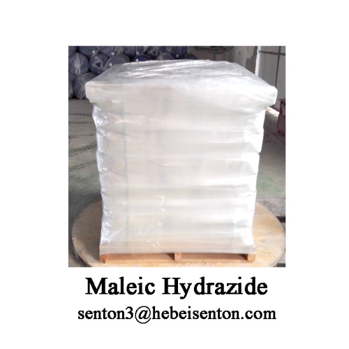 High Quality White powder Maleic Hydrazide