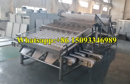 High Capacity Prawn Selection Classifier Machine