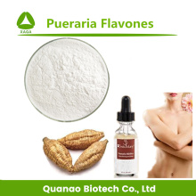 Puerariae Extrato Flavonóides 98% em pó CAS No.:3681-99-0