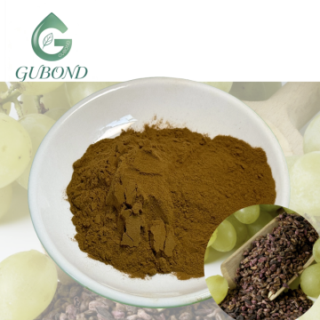 Extrato de semente de uva para suplementos dietéticos