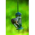 Squirrel Buster Bird Feeder