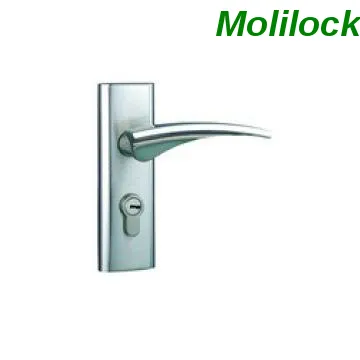 entrance door handle room lock