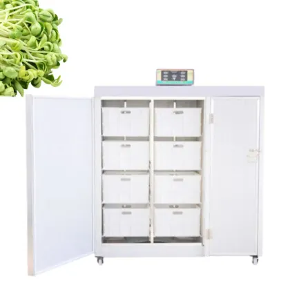 Automatic Mung Bean Sprout Machinery for Practical Bean Sprout Production