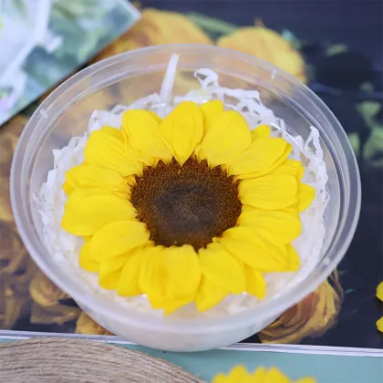 Yunnan Wholesale Preserved Sunflower Yellow: Flower Boxes and Heads