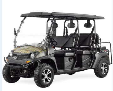 Comfortable 4 Passenger UTV Model