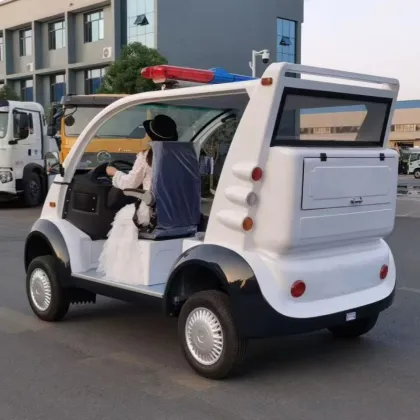 Electric sightseeing patrol car