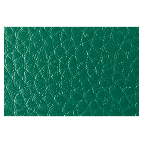 Masa Tenisi Oyunu için Dayanıklı Yeşil Yüzey