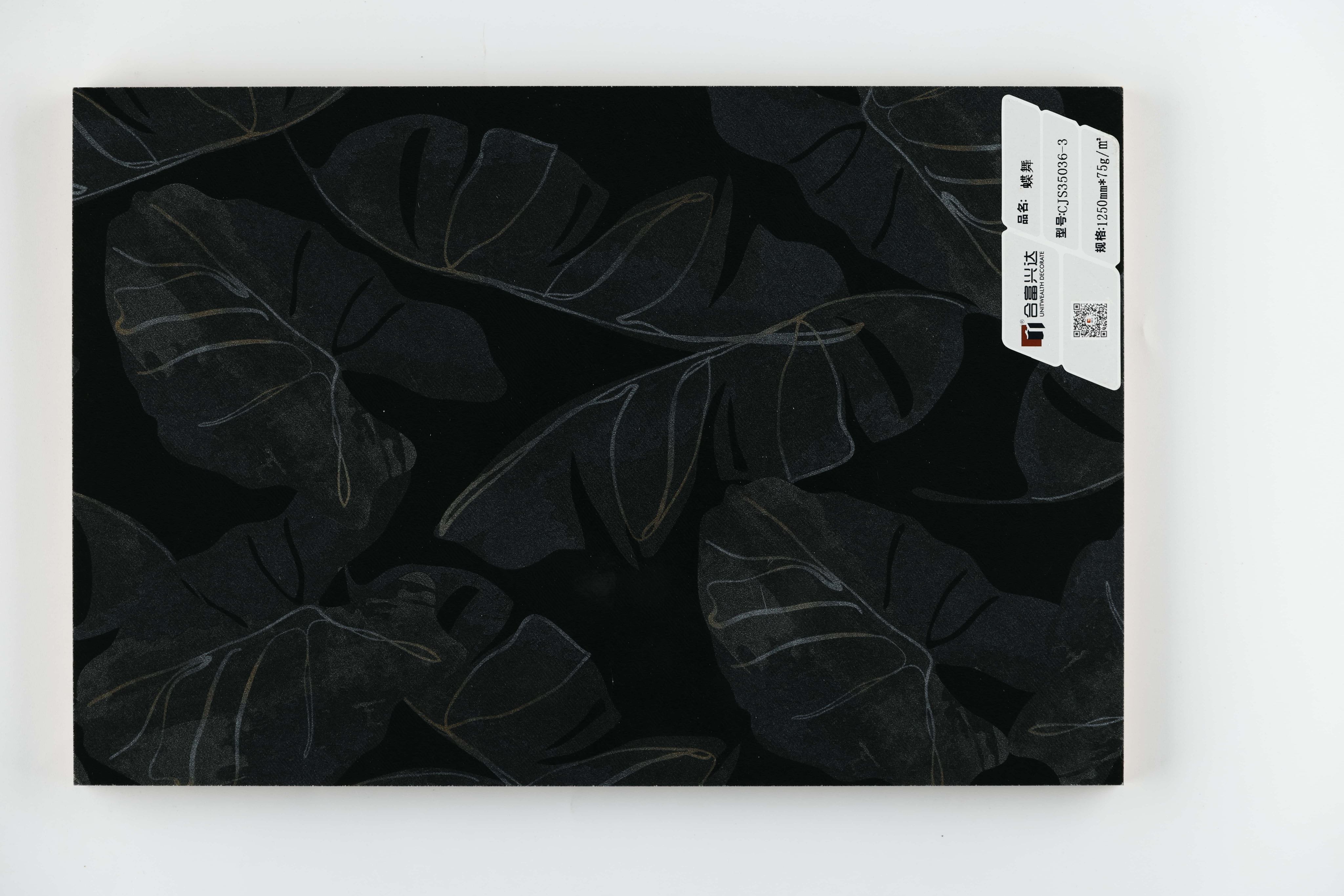 Gros plan de la texture abstraite du papillon noir CJS35036-3