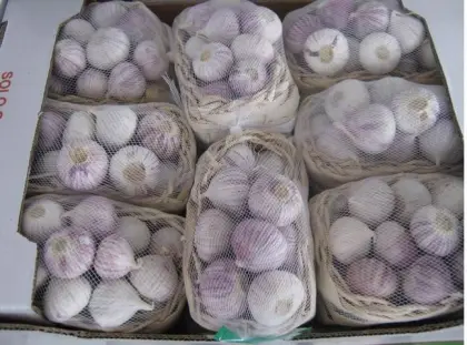 Fresh Yunnan Solo Garlic