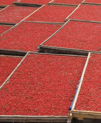 Organic Wolfberry 220 Specifications