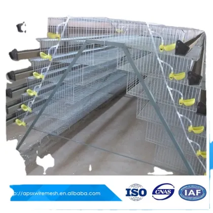 Poultry Quail Equipment: Layer Quail Cage with Automatic Feeder