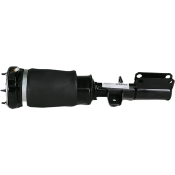 Front Air Spring Bag Air Suspension Strut Shock Absorber for BMW X5 E53 37116757501 37116761443