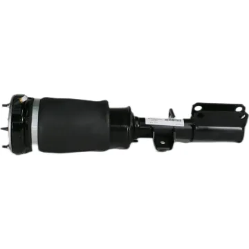 Front Air Spring Bag Air Suspension Strut Shock Absorber for BMW X5 E53 37116757501 37116761443