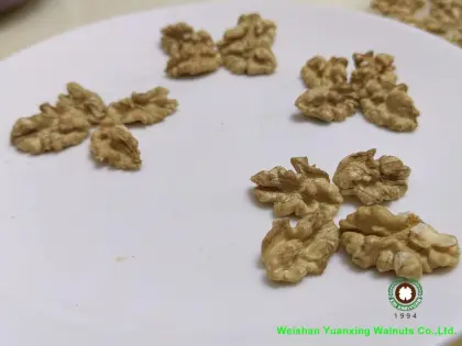 Kids` favourite snack Chinese Walnut Kernels
