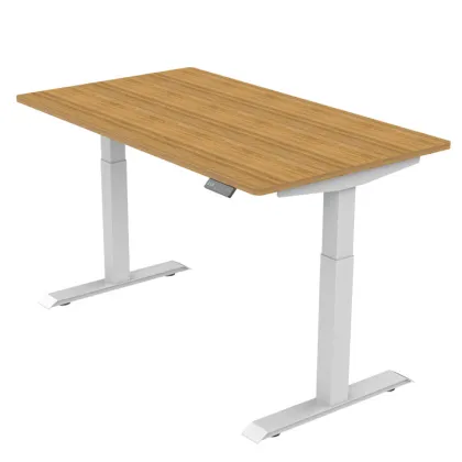 2025 COTUO fantastic electric desk up New design ergonomic motorized smart office furniture and down computer desk frame