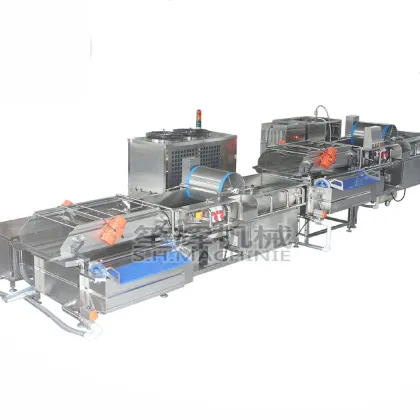 Vortex Fruit Cleaning Machine: Large Ozone Vegetable Washing System for Kitchen Food Processing