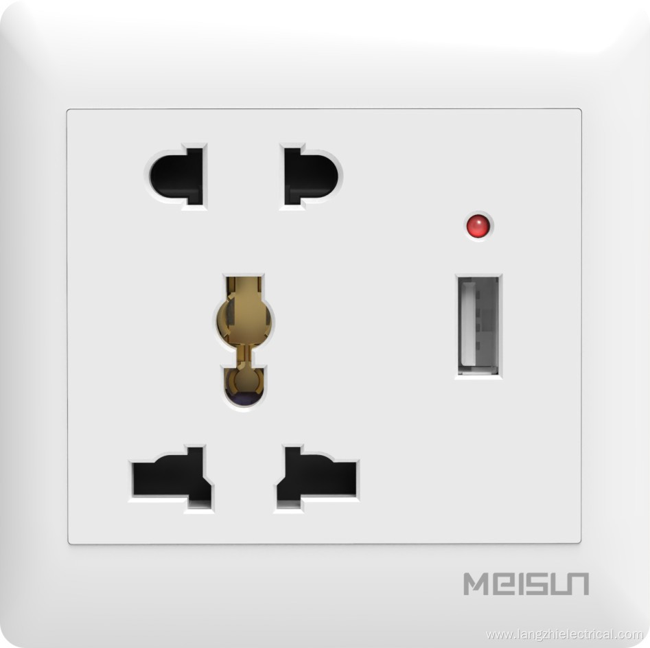 New 2pin & multifunction socket with USB