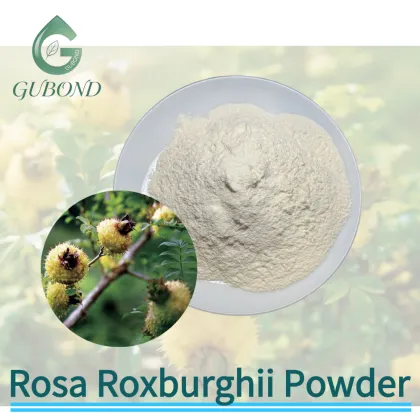 Rosa Roxburghii Fruit Powder for Vitamin C