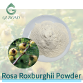 Фруктовый порошок Rosa Roxburghii с витамином С