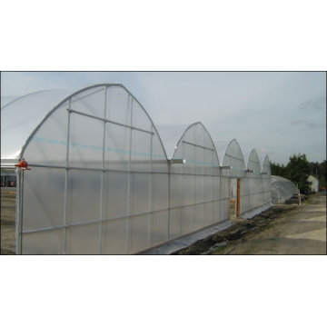 Agriculture Multi Span Film Greenhouse