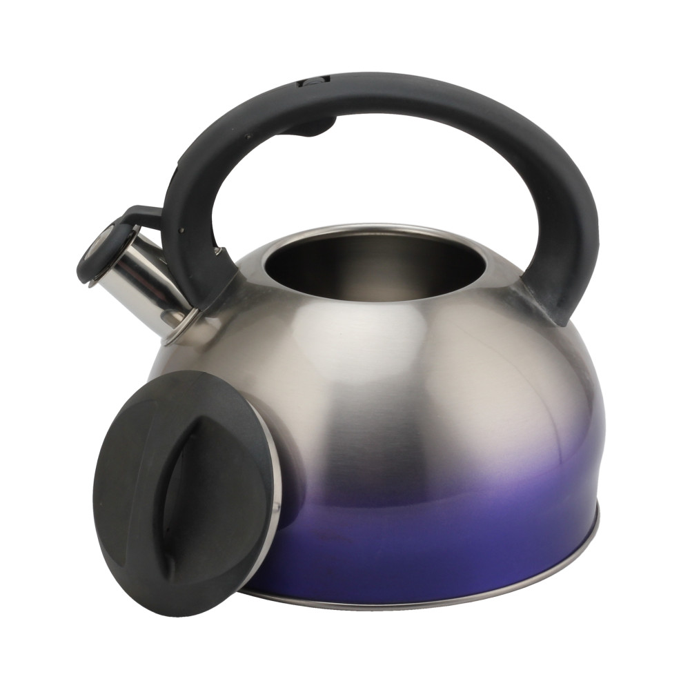 Whistling Kettle For Home 6