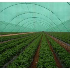 Best Quality Crazy Price Greenhouse Sun Shade Cloth