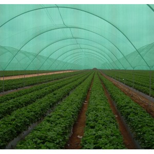 Best Quality Crazy Price Greenhouse Sun Shade Cloth