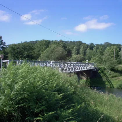 Steel Structure Bailey Bridge: Exploring Bailey Bridges